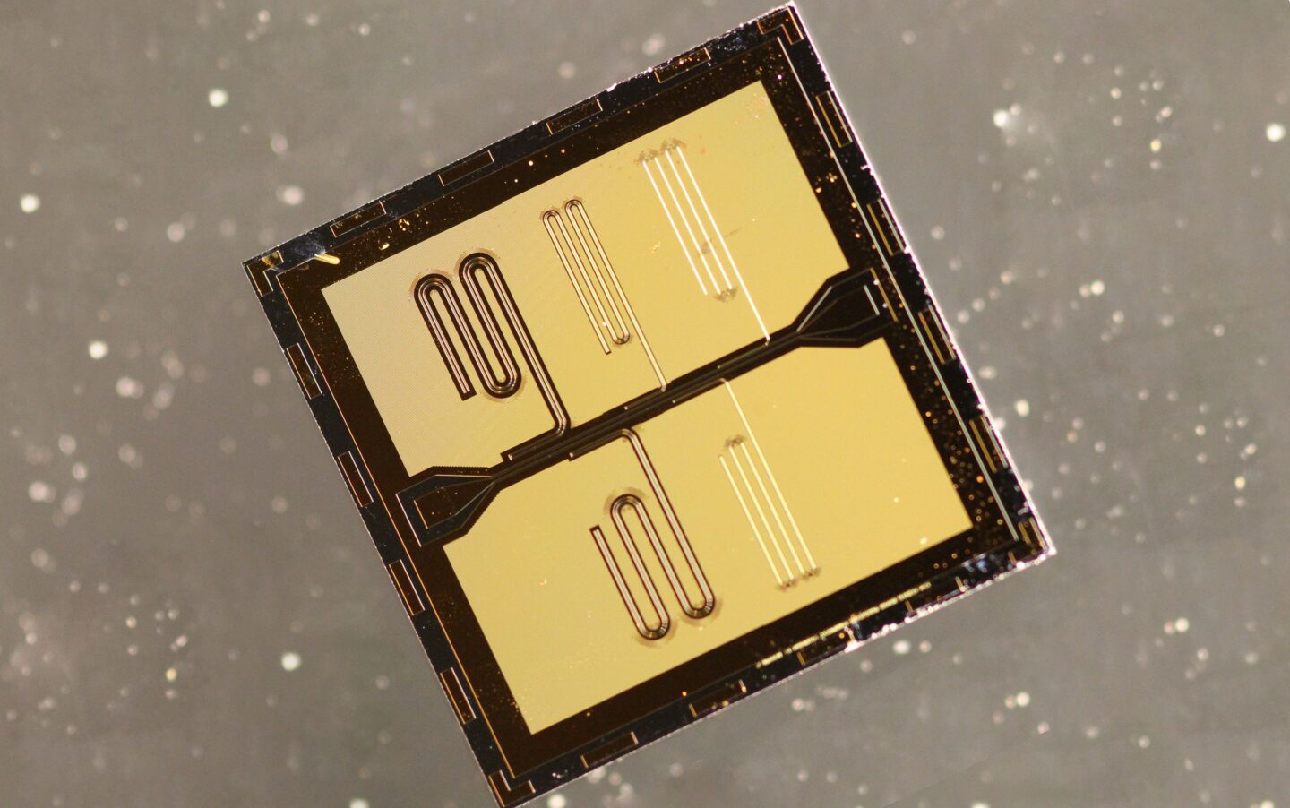 Quantum Nanoelectronics logo_QNL_UC Berkeley_gold wafer